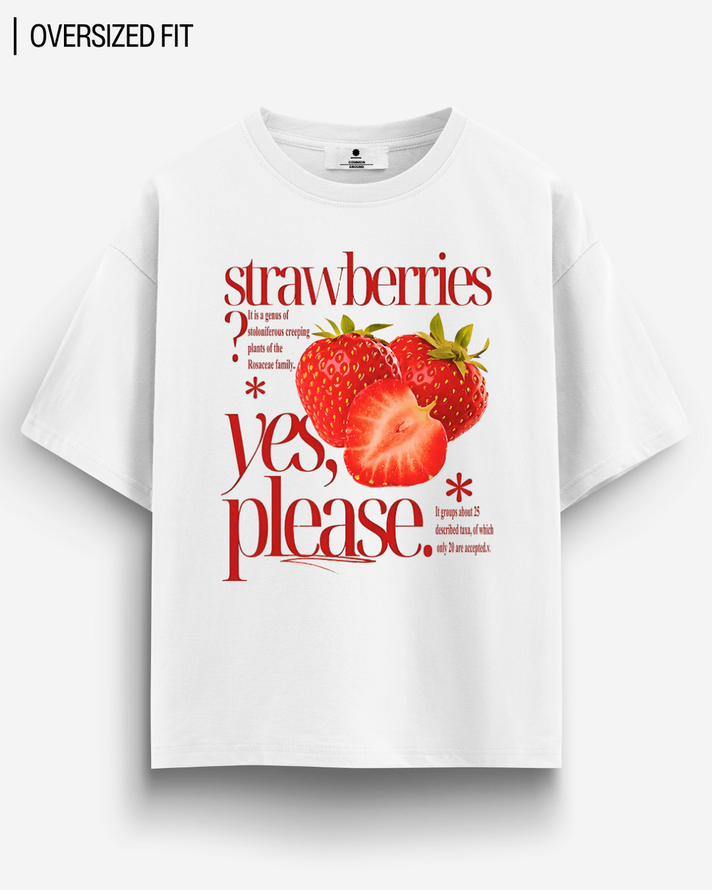 STRAWBERRIES OVERSIZED T-SHIRT